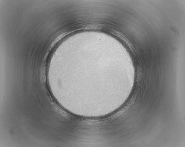 X0000114081075200911161011