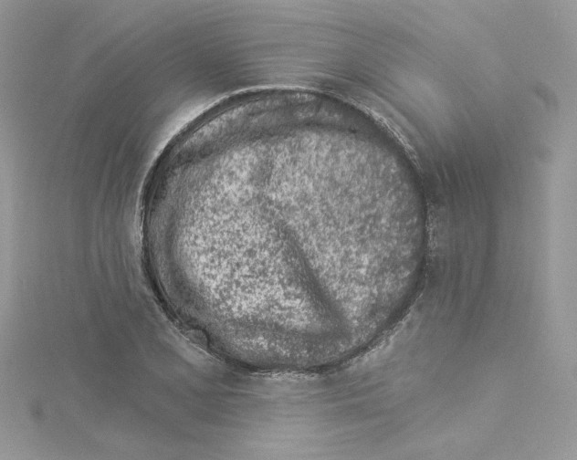 X0000114081077200911161011