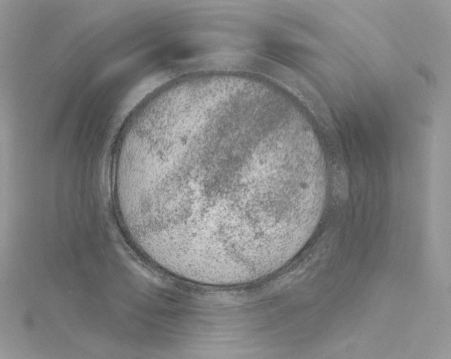 X0000114081078200911161011