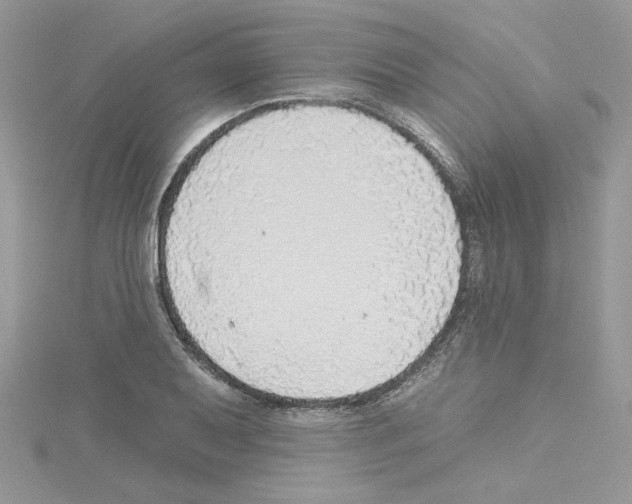 X0000114081079200911161011