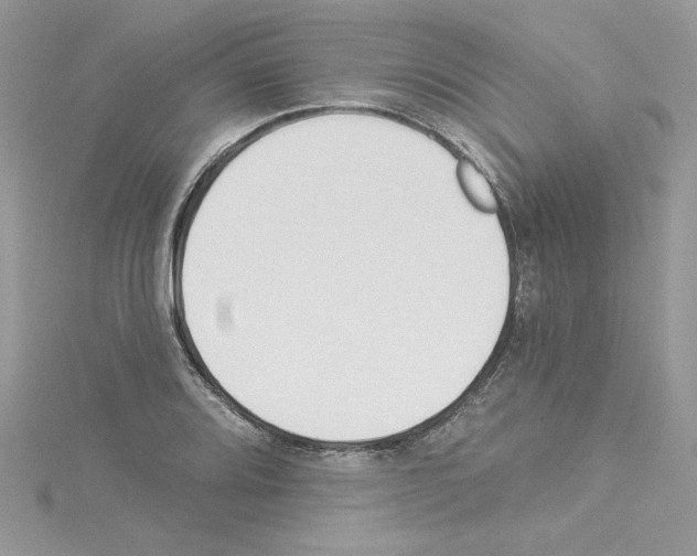 X0000114081080200911161011