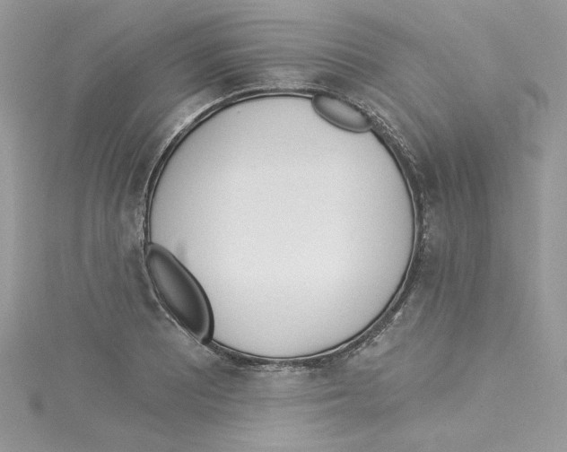 X0000114081081200911161011