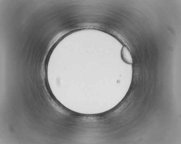 X0000114081082200911161011