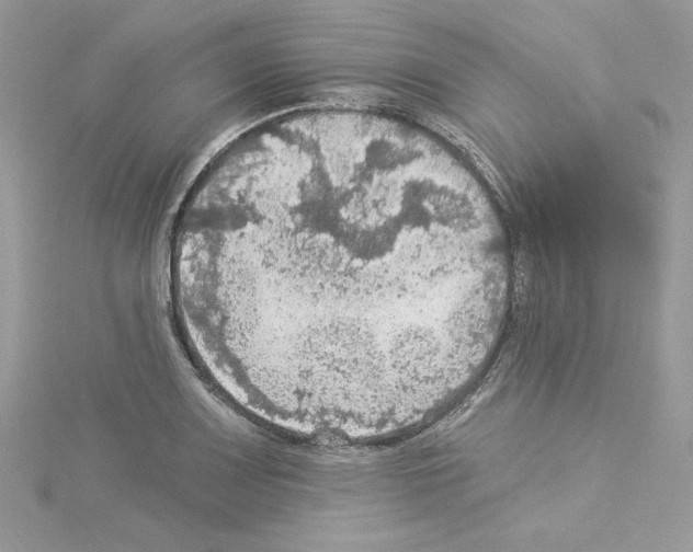 X0000114081083200911161011