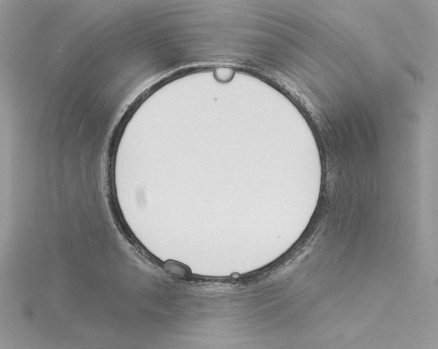 X0000114081085200911161011