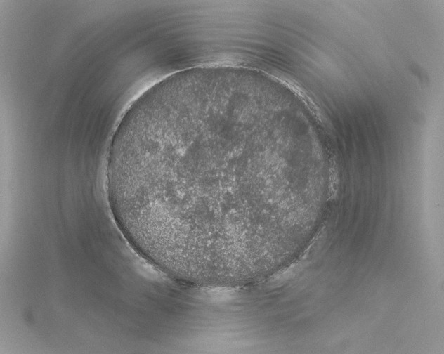 X0000114081086200911161011