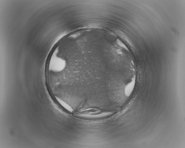 X0000114081087200911161011