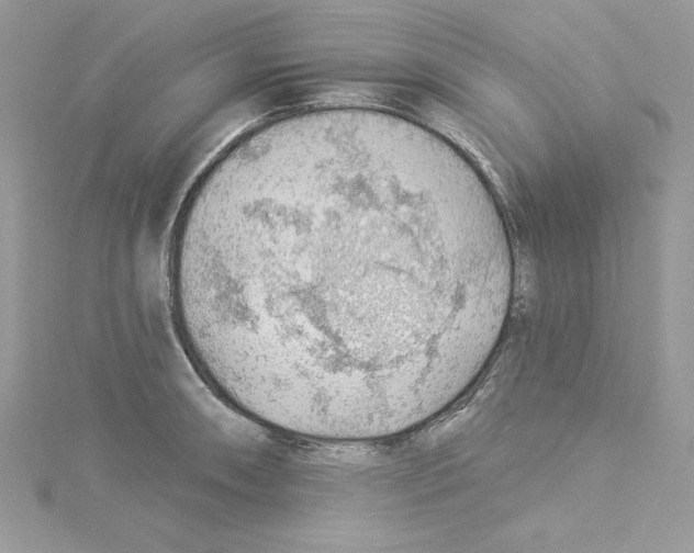 X0000114081090200911161011