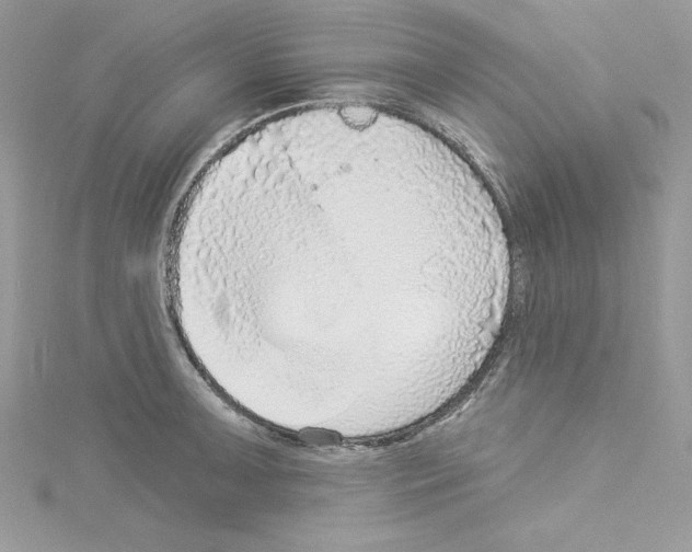 X0000114081091200911161011