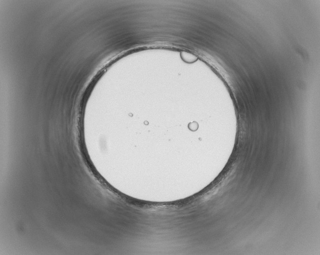 X0000114081093200911161011