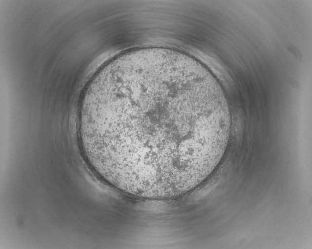 X0000114081094200911161011