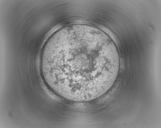 X0000114081098200911161011