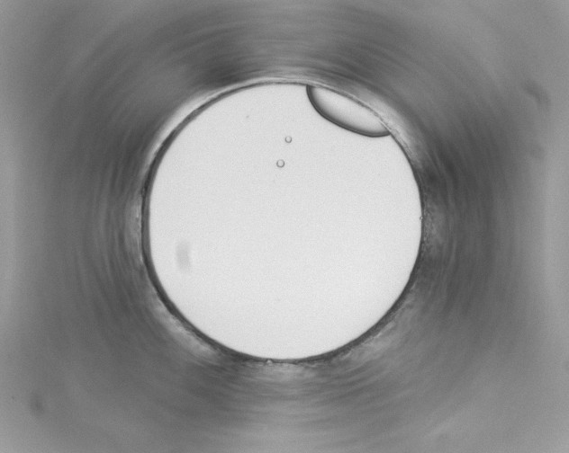 X0000114081100200911161011