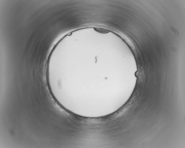 X0000114081102200911161011