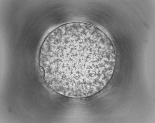 X0000114081104200911161011