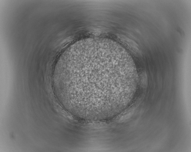 X0000114081105200911161010