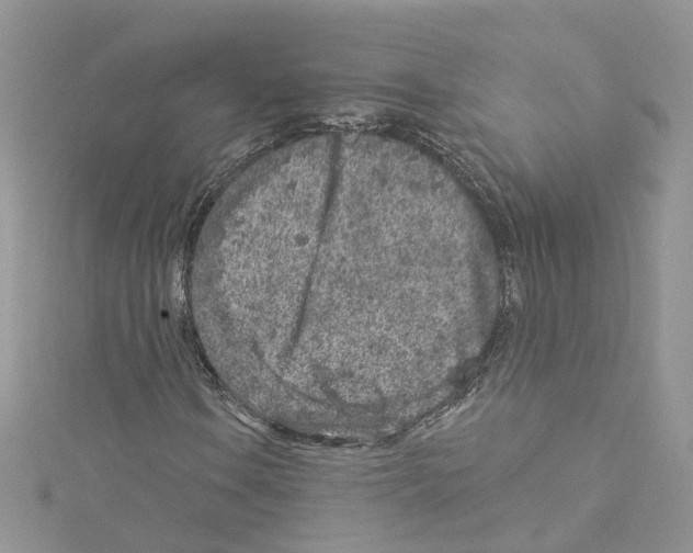 X0000114081106200911161010