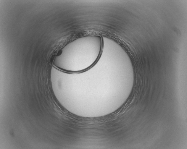 X0000114081108200911161010