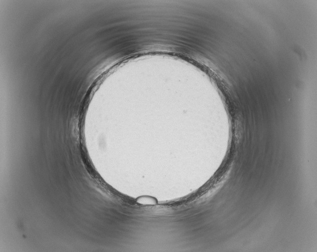 X0000114081113200911161010