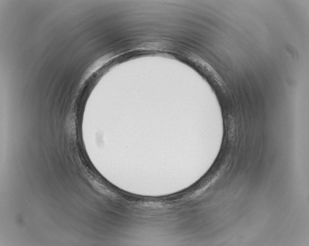 X0000114081114200911161010