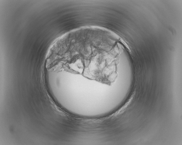 X0000114081117200911161010