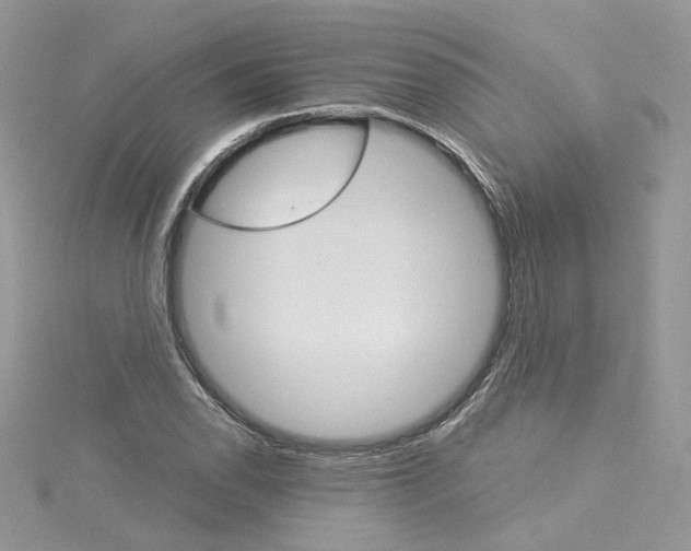 X0000114081118200911161010