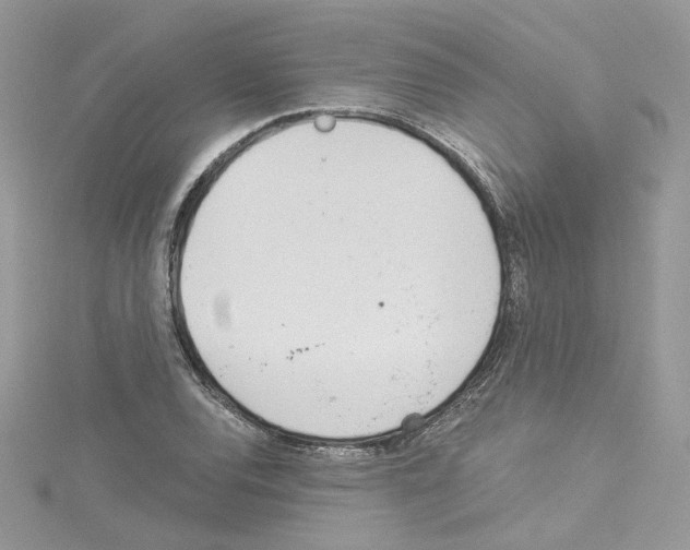 X0000114081120200911161010