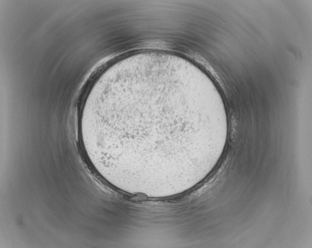 X0000114081123200911161010