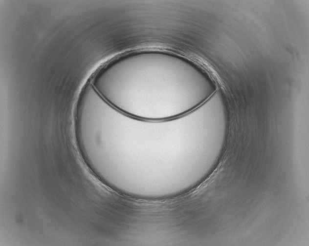 X0000114081124200911161010