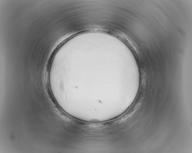 X0000114081125200911161010