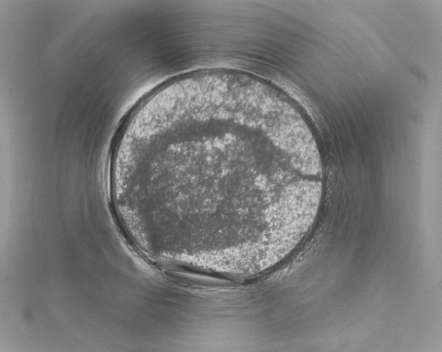 X0000114081127200911161010