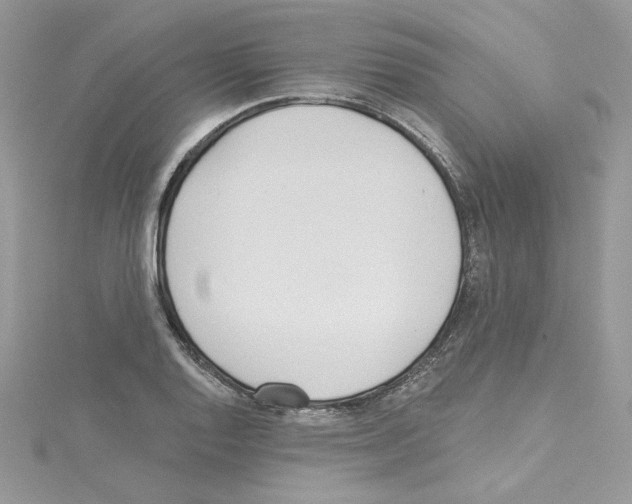 X0000114081128200911161010