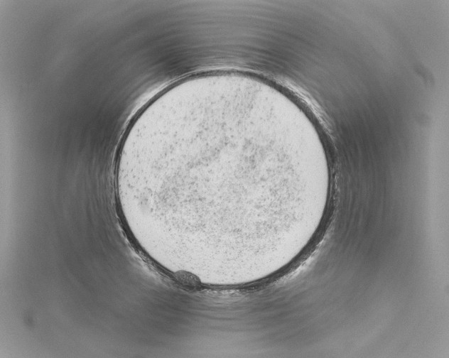 X0000114081129200911161010