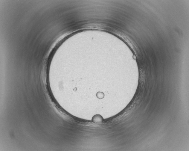 X0000114081131200911161010