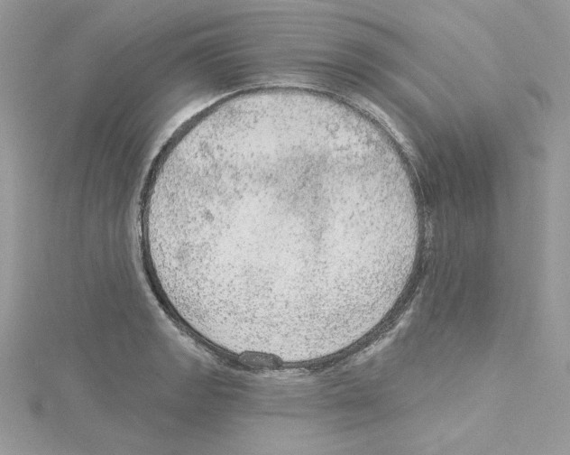 X0000114081133200911161010