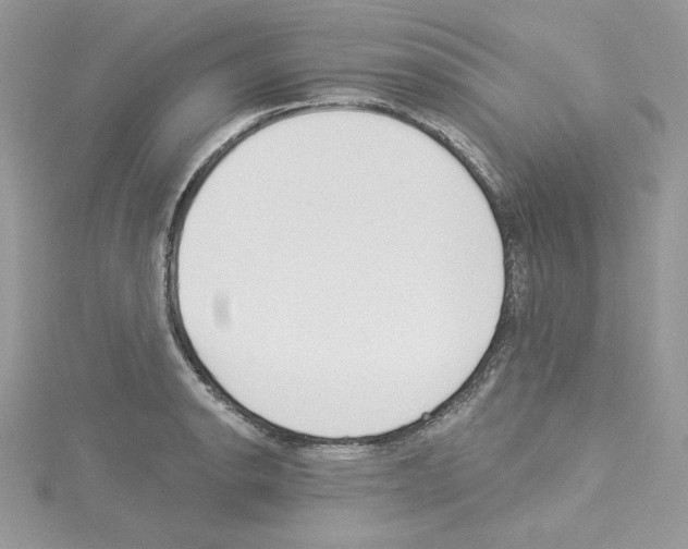 X0000114081134200911161010