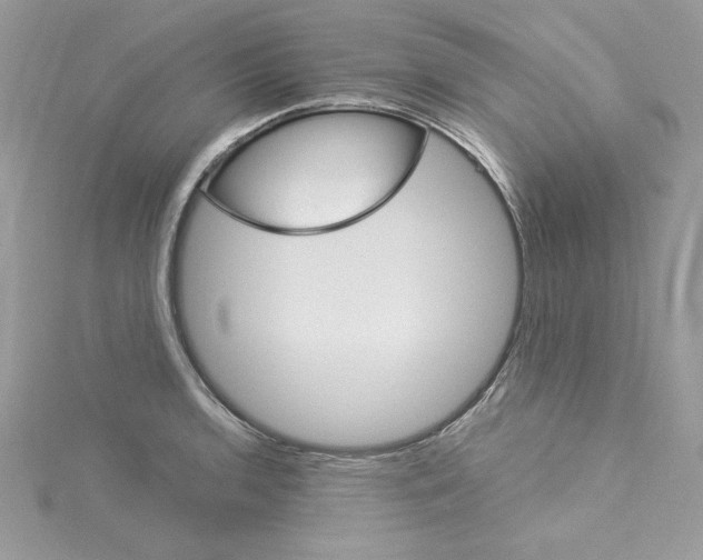 X0000114081136200911161010