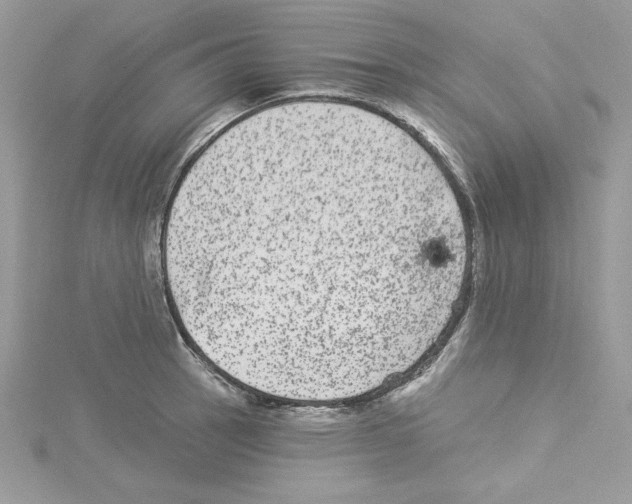 X0000114081137200911161010