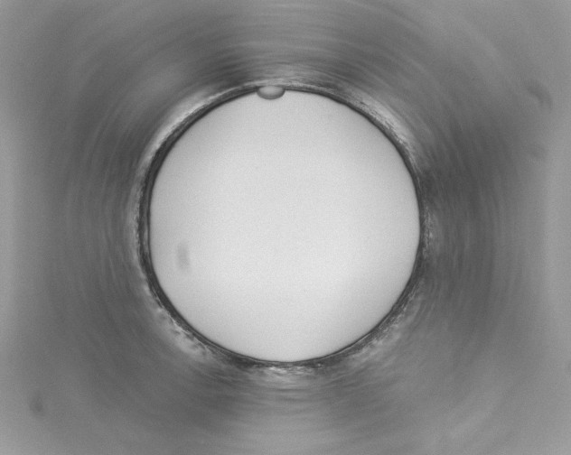 X0000114081138200911161010