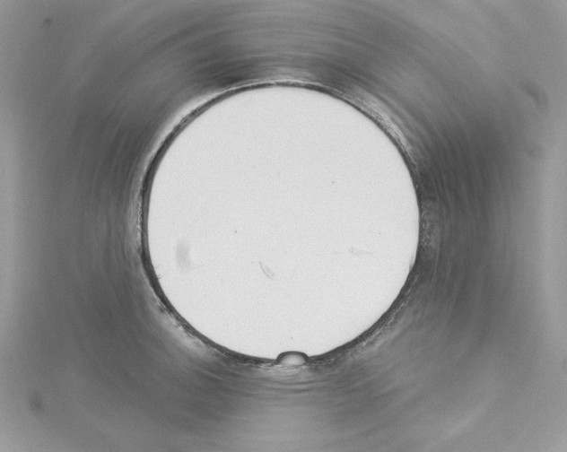 X0000114081140200911161010