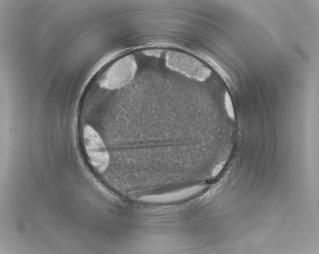 X0000114081142200911161011