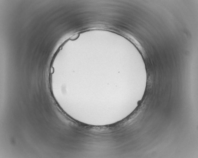 X0000114081146200911161011