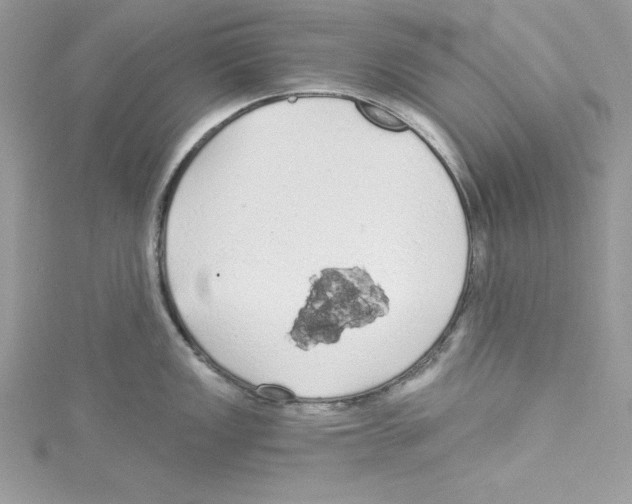 X0000114081149200911161011