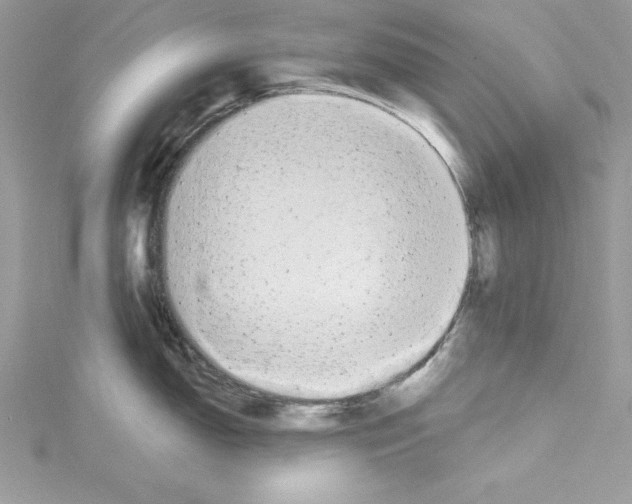 X0000114081150200911161011