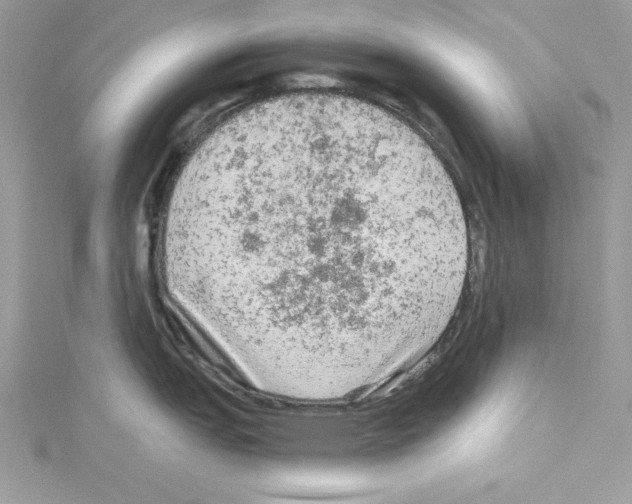 X0000114081151200911161011