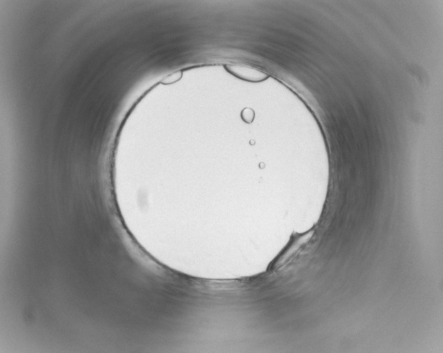 X0000114081152200911161011