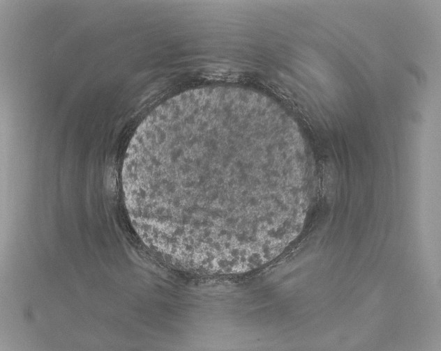 X0000114081154200911161010