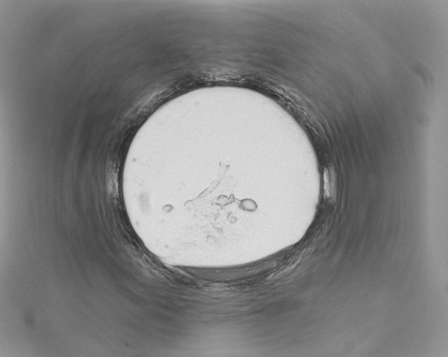 X0000114081155200911161010