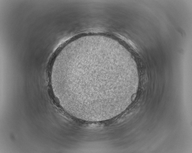 X0000114081160200911161010