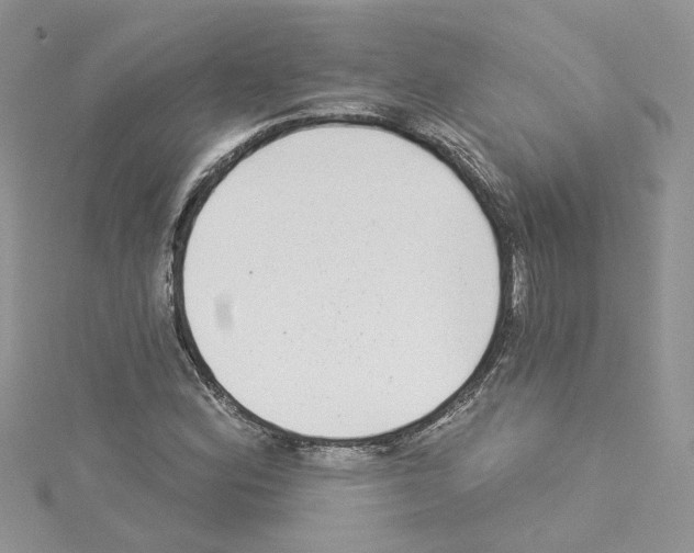 X0000114081164200911161010